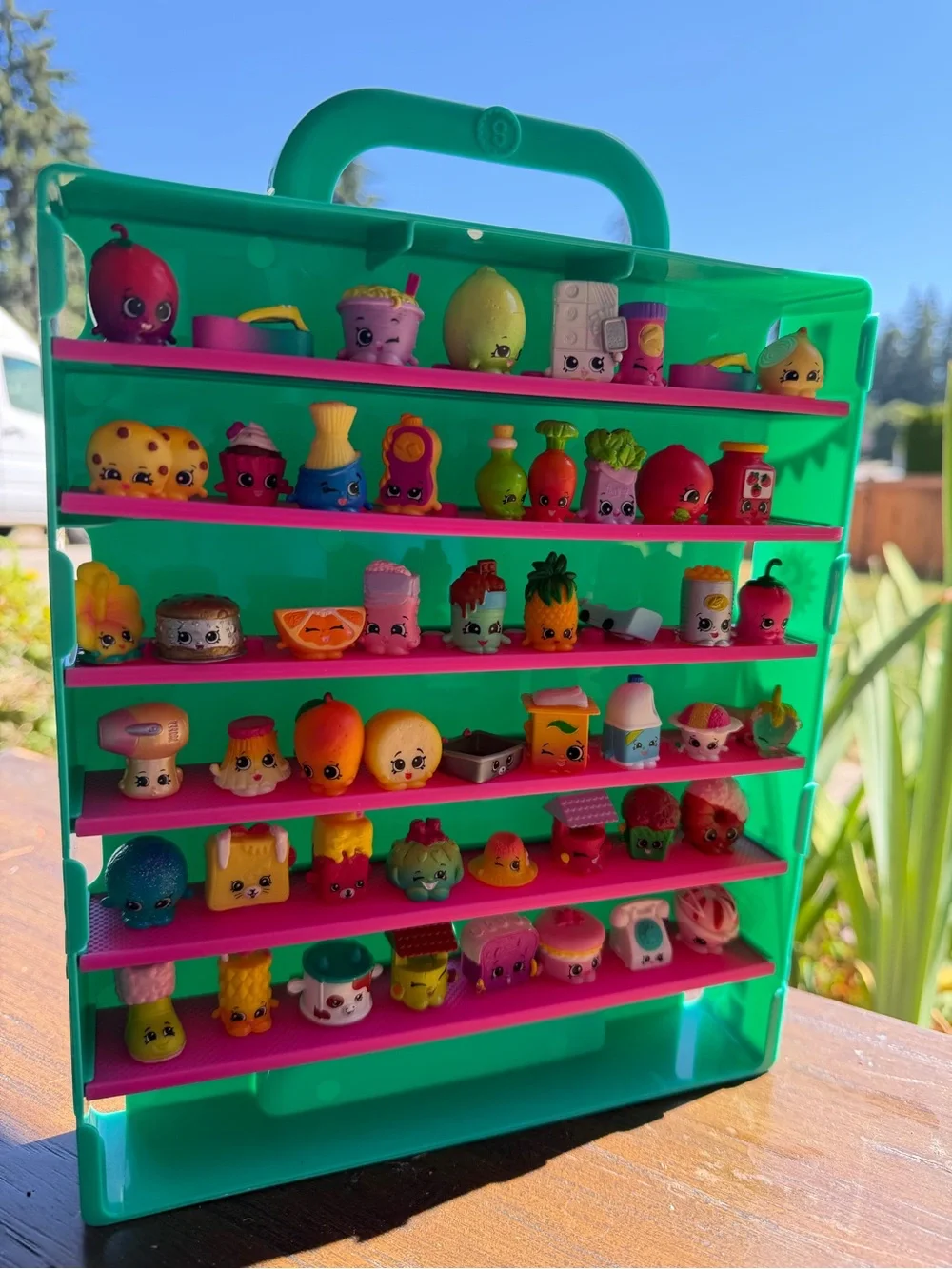 Shopkins Green Carry Case with Pink Shelves - Collectible Display 53 toys